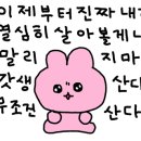 티피트레블 이미지