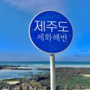 제주첫날두근 이미지