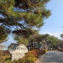 무주솔향기펜션 이미지