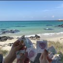 탐라목장 이미지