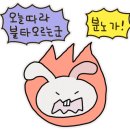 경기야채