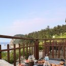 스테이 섬씽 울릉도 이미지