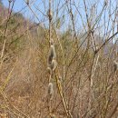 경기둘레길 연천12코스 이미지