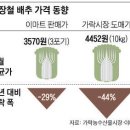 [오늘의 세상] 재배 늘렸더니 값 폭락, 갈아엎기… 배추의 악순환 이미지