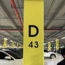 송이캣 | [2025 궁디팡팡 캣페스타 일산 킨텍스] 방문 후기, 주말 점심 방문, 꿀팁 대공유, 이벤트, 주차, 업체...