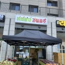 야채왕자 과일공주 이미지