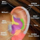 알고보니피어싱