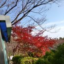 동삼3동-1 이미지