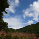 거창 항노화 힐링랜드 이미지