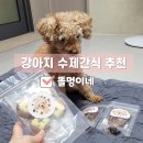 똘멍이네 | 노견 간식 추천 기호성 좋았던 수제 애견간식 _ 똘멍이네