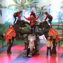 점보빌리지 이미지