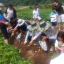 우산캠핑장