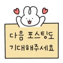 온리영 헤어 이미지