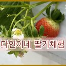 다인농장2 이미지