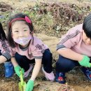 칠곡한솔유치원 이미지