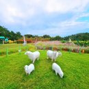 신흥근린공원 이미지