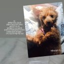 복달이 이미지