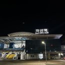 써울 클쑤마쓰 트리 내가 다 접수했다🎄