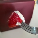 아리키친 신세계백화점 강남점 | 인생 딸기케이크 맛집 스위트파크 키친205 신세계백화점 강남점 후기