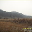 마산동할먼네집 이미지