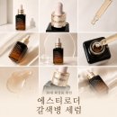 30대 피부 고민 끝! 에스티로더 갈색병 세럼 직접 써본 솔직 후기