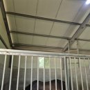 마림목장 이미지