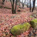 하늘재길 이미지