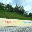 힐링관광지 주차장 이미지