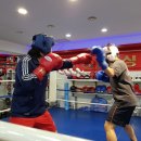 화랑복싱클럽 이미지