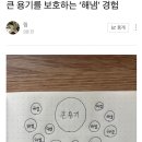 신영농장 | 여름