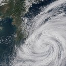 한반도테크 | 태풍 바비 중국서 소멸? 한반도 덮치는 비바람과 내 지갑의 관계
