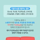 나은동물병원 이미지