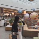 양품정원 | 라탄백 명품 토드백 자크뮈스 가방, 솔리 라피아백 구매 후기