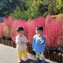 우남 어린이집 이미지