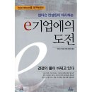 앤더슨컨설팅