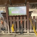 횡성호수길 주차장 화장실 이미지