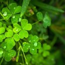 콜공인중개사사무소 이미지