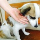 데굴데굴 당구장 이미지