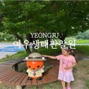 생활-생물-생태 프로그램(상반기) | 경북 영주 가볼만한 곳 여우 생태관찰원 예약 탐방시간 아이와