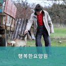 행복한요양원 이미지