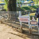 삼천목장 | [울산/울주군]울산하늘목장 : 아이와 함께 가볼만한 동물체험+먹이체험+놀이공간 = 대만족👍