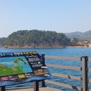입춘 볕살을 쬐며 걸어 이미지