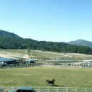 장수목장2 이미지