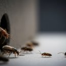 대길케어 이미지