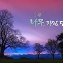 문명의 기원 이미지