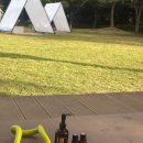 성인요가 | 부산 '금정휴 페스티벌' 키즈요가, 성인요가 기업강의 후기