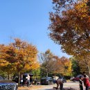 용인밤골캠핑장 이미지