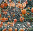 청도감농원