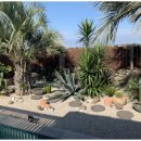 후아힌 협재 이미지