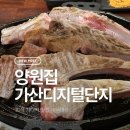 양원집 | 가산디지털단지 회식 양원집 내돈내산 양고기 맛집 후기